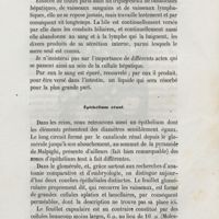 0109 - Page 101 - Épithélium rénal
