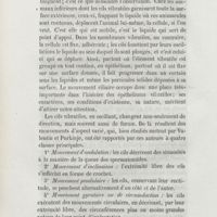 0142 - Page 134 - 1° Mouvement d'ondulation / 2° Mouvement d'inclinaison / 3° Mouvement pendulaire / 4° Mouvement gyratoire ou de cicumduction