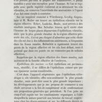 0153 - Page 145 - Épithélium des narines