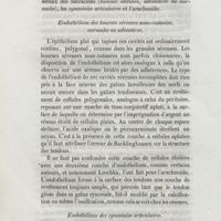 0196 - Page 188 - Endothélium des bourses séreuses sous-cutanées, normales ou adventices / Endothélium des synoviales articulaires