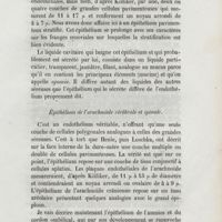 0197 - Page 189 - Épithélium de l'arachnoïde cérébrale et spinale