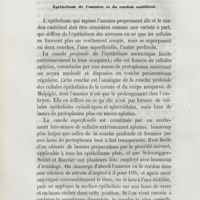 0198 - Page 190 - Épithélium de l'amnios et du cordon ombilical
