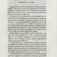0229 - Page 221 - Épithélium de la cornée
