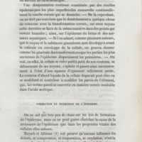 0241 - Page 233 - Formation et nutrition de l'épiderme