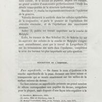 0246 - Page 238 - Description de l'épiderme. Face superficielle