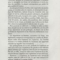 0247 - Page 239 - Face profonde ou adhérente / Épaisseur