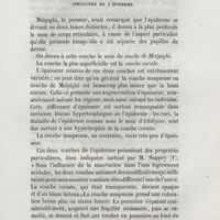 0249 - Page 241 - Structure de l'épiderme