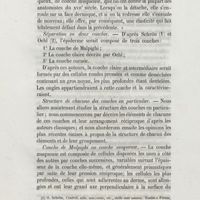 0250 - Page 242 - Séparation en deux couches / Structure de chacune des couches en particulier / Couche de Malpighi ou couche muqueuse