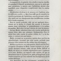 0253 - Page 245 - Modifications de forme et de structure de l'épiderme selon les différentes couches