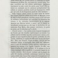 0258 - Page 250 - Couche cornée