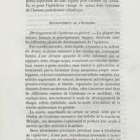0260 - Page 252 - Développement de l'épiderme. Développement de l'épiderme en général