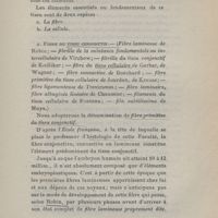 0019 - Page 19 - a. Fibre du tissu conjonctif