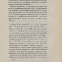 0049 - Page 49 - e. Tuniques des vaisseaux