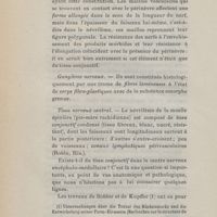 0058 - Page 58 - Ganglions nerveux / Tissu nerveux central