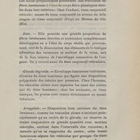 0065 - Page 65 - Rate / Glande thyroïde / Amygdale