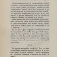 0006 - Page 6 - Anatomie. Origine