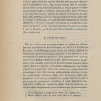 0018 - Page 14 - I. Couche pigmentaire