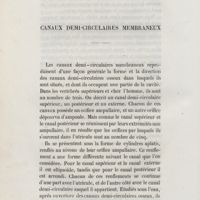0012 - Page 12 - Canaux demi-circulaires membraneux