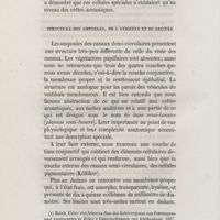 0020 - Page 20 - Structure des ampoules, de l'utricule et du saccule