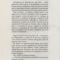 0038 - Page 38 - Protubérance de Huschke (voy. fig. 4, F) / Ligament spiral externe (voy. fig. 4, E)