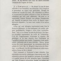 0057 - Page 57 - <ATTcaractere>. Lame réticulée