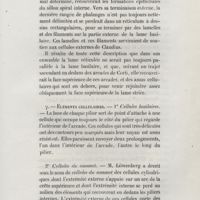 0059 - Page 59 - <ATTcaractere>. Élements cellulaires. - 1° Cellules basilaires / 2° Cellules du sommet