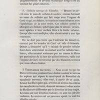 0061 - Page 61 - b. Cellules externes de Claudius / <ATTCaractère>. Terminaisons nerveuses