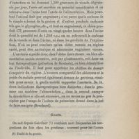 0079 - Page 75 - Goutte