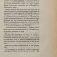 0061 - Page 61 - Marche