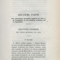 0045 - Page 43 - Deuxième partie. Des connexions nerveuses motrices de l'oeil et de l'encéphale, et des troubles oculaires qui en dépendent. Chapitre premier. Des nerfs moteurs de l'oeil. 1° Anatomie. A. Moteur oculaire commun