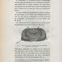 0048 - Page 46 - B. Pathétique