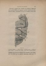 Figure VI. ox Portion vaginale. - o Orifice externe. - oe Canal cervical. - 9 Glande en partie envah [...]