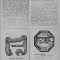 0493 - Page 633 - Variété. Ou sont nos champions?