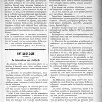 1116 - Page 1119 - Partie scientifique. Clinique chirurgicale, Hôpital Necker : M. le Prof. Pierre Delbet. L’épididymite tuberculeuse / Phtisiologie. La tuberculose des vieillards