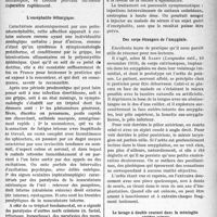 2084 - Page 2087 - Partie scientifique. A travers la presse. Corps étrangers des ventricules cérébraux / L’encéphalite léthargique / Des corps étrangers de l’amygdale / Le lavage à double courant dans la méningite cérébro-spinale