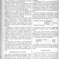 0289 - Page 288 - Partie scientifique. A travers la presse. Presse française. Sur l’emploi des fortes doses de sérum antidiphtérique [(Lyon méd. déc. 1919)] / La phytothérapie des contusions [(Journ. des prat. 27 décembre 1919)] / L’estomac mental [(Paris méd. 27 décembre 1919)]