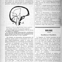 1295 - Page 1294 - Partie scientifique. Pathologie chirurgicale. Quelques considérations pratiques sur les fractures du crâne, par le Dr J. Fievez, (suite et fin) / Biologie. Symbioses et Symbiotes