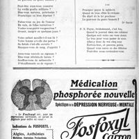 2975 - Page 2982-XXXVI - Fantaisie rimée. Évidemment c’est fou !!