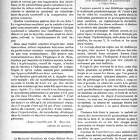 2209 - Page 2202 - Partie scientifique. Clinique médicale, Faculté de médecine de Nancy. Mélanodermie et chétivisme, par M. le professeur Simon / Physiothérapie pratique. Traitement de l’acné par les agents physiques, par le Dr H. Dausset