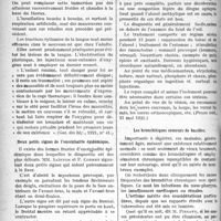 2213 - Page 2006 - Partie scientifique. A travers la presse. De la mort apparente du nouveau-né [(Gaz. des hôp. 1921, n° 41)] / Deux petits signes de l’encéphalite épidémique [(Paris méd. 21 mai 1921)] / Les troubles visuels par abus d’alcool et de tabac [(Presse méd. 21 mai 1921)] / Les bronchitiques semeurs de bacilles [(La médecine, mai 1921)]