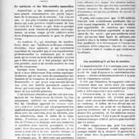 2967 - Page 2960 - Partie professionnelle. Médecine sociale. Le médecin et les lois sociales nouvelles / Une mentalité qu’il est bon de connaître