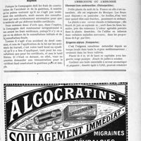 2980 - Page XXVII-2973 - Correspondance. Soins à un blessé de droit commun / Memento de phytothérapie. Plantes indigènes, par le Dr Ernest Liotard