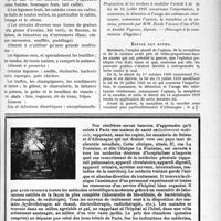 3192 - Page XXXVII-3185 - Notes de pratique quotidienne. Hygiène et régime des arthritiques / Documents officiels. A l’officiel