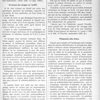 3224 - Page 3217 - Partie scientifique. A travers la presse. Traitement moderne de l’asthme [(Bull. méd. 17 sept. 1921)] / Technique des lavages de l’urètre [(L'Hôpital, septembre 1921 B)] / Phlegmatia alba dolens [(Journ. des Prat. 17 sept. 1921)]