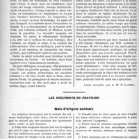 0229 - Page 354 - Partie scientifique. Travaux Originaux. Clinique médicale. La cirrhose avec ascite : considérations cliniques, M. le professeur Chauffard / Les documents du praticien. Gale d’origine animale