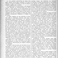 2057 - Page 2908 - Partie Scientifique. Travaux Originaux. Clinique dermatologique. Formes et types de lupus tuberculeux, M. le Professeur Jeanselme