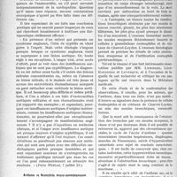 2255 - Page 3106 - Partie Scientifique. L’Actualité Scientifique. La Presse. Angine de poitrine et cardiopathies valvulaires [(Paris Médical, 7 juillet 23)] / Asthme et bronchite muco-membraneuse [(Presse Méd. 14 juillet 23)]