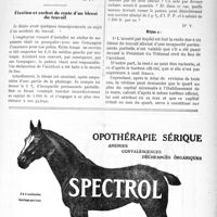 2634 - Page XI-3485 - Correspondance. Pension militaire. Diminution du pourcentage / Fixation et rachat de rente d’un blessé du travail