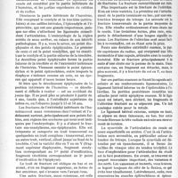 2899 - Page 3752 - Partie scientifique. Travaux Originaux. Chirurgie. L’exploration chirurgicale du coude, M. Bergeret