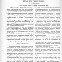 2951 - Page 3804 - Partie scientifique. Travaux Originaux. Les angines phlegmoneuses, Dr P. Truffert